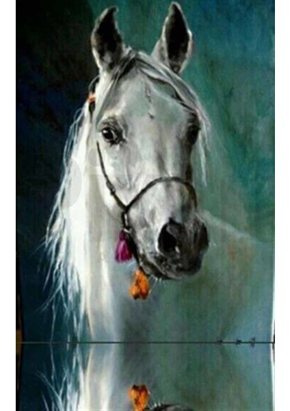 Asil Beyaz At Pixart Sanat Elmas Mozik Tablo Daimond Türkiye 32*53
