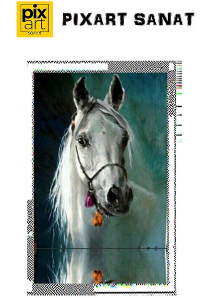 Asil Beyaz At Pixart Sanat Elmas Mozik Tablo Daimond Türkiye 32*53 fırsatları