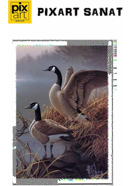 Göl Kenarındaki Ikili Pixart Sanat Elmas Mozik Tablo Daimond Türkiye 38*63 fırsatları