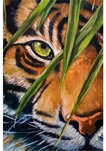 Yeşil Gözlü Kaplan Pixart Sanat Elmas Mozik Tablo Daimond Türkiye 43*63