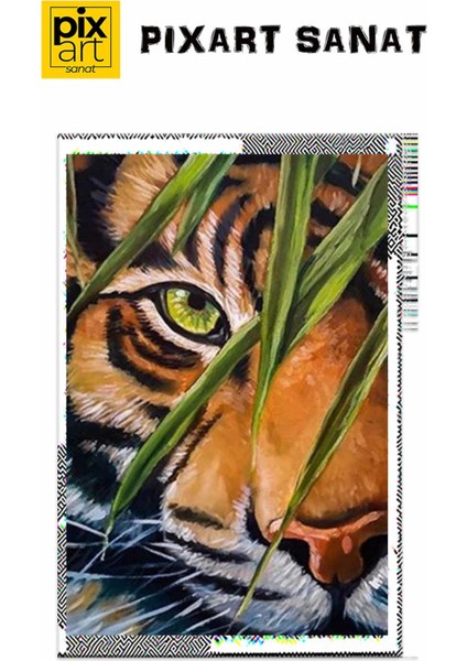 Yeşil Gözlü Kaplan Pixart Sanat Elmas Mozik Tablo Daimond Türkiye 43*63 fırsatları