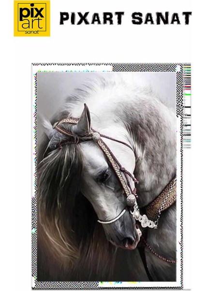 Yalnız Beyaz At Pixart Sanat Elmas Mozaik Tablo Diamond Türkiye 37*52 fırsatları