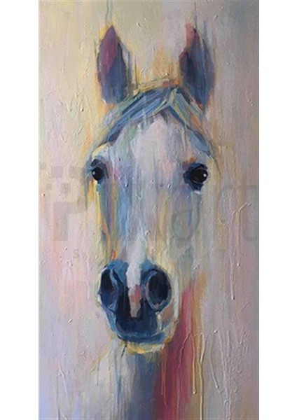 At Silueti Pixart Sanat Elmas Mozaik Tablo Diamond Türkiye 40*74