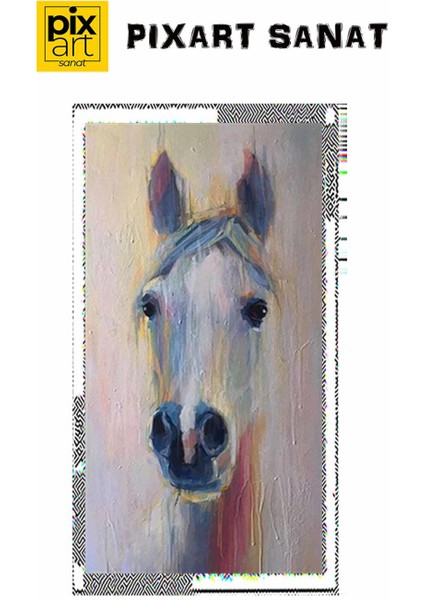 At Silueti Pixart Sanat Elmas Mozaik Tablo Diamond Türkiye 40*74 fırsatları