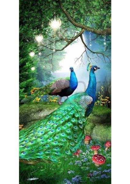 Güzel Renkli Tavus Kuşları Pixart Sanat Elmas Mozaik Tablo Diamond Türkiye 43*83