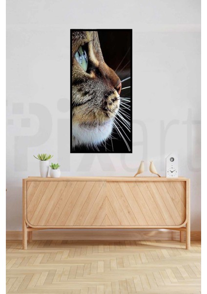 Kedi Bakisi 40 x 60 Elmas Mozaik Tablo fiyatları