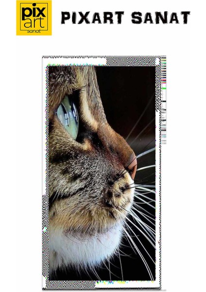 Kedi Bakisi 40 x 60 Elmas Mozaik Tablo fırsatları