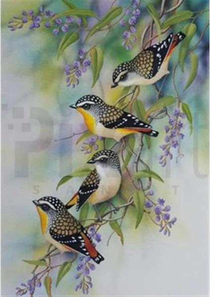 Ardıç Kuşları Pixart Sanat Elmas Mozaik Tablo Diamond Türkiye 60*63