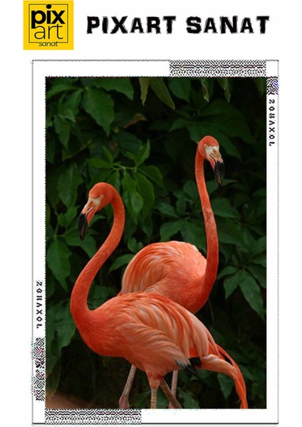Bir Cift Flamingo 40 x 60 Elmas Mozaik Tablo fırsatları