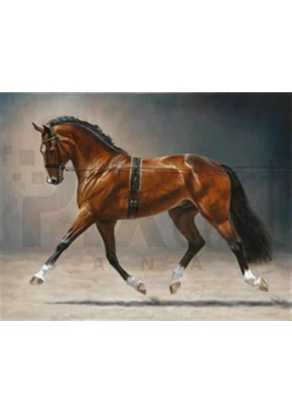 Parlak Tüylü Asil At Pixart Sanat Elmas Mozaik Tablo Diamond Türkiye 66*53