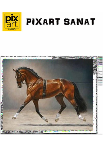 Parlak Tüylü Asil At Pixart Sanat Elmas Mozaik Tablo Diamond Türkiye 66*53