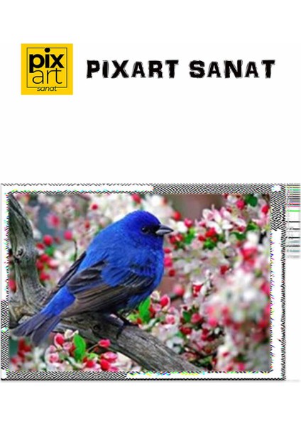 Nar Çiçekleri Arasındaki Çit Kuşu Pixart Sanat Elmas Mozaik Tablo Diamond Türkiye 29*42 fırsatları