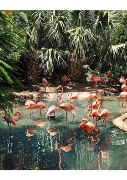 Flamingo Havuzu 40 x 60 Elmas Mozaik Tablo