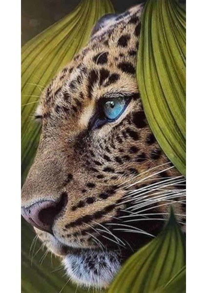 Doğada Mavi Gözlü Leopar Pixart Sanat Elmas Mozaik Tablo Diamond Türkiye 30*53