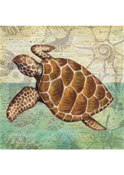 Kahverengi Su Kaplumbağası Pixart Sanat Elmas Mozaik Tablo Diamond Türkiye 53*52