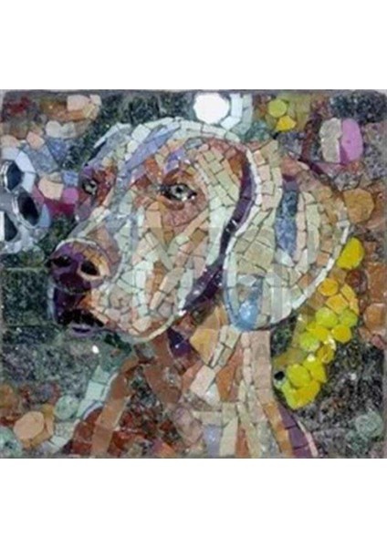 Taştan Köpek Tablosu Pixart Sanat Elmas Mozaik Tablo Diamond Türkiye 54*52
