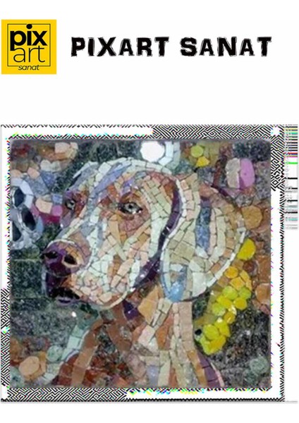 Taştan Köpek Tablosu Pixart Sanat Elmas Mozaik Tablo Diamond Türkiye 54*52 fırsatları