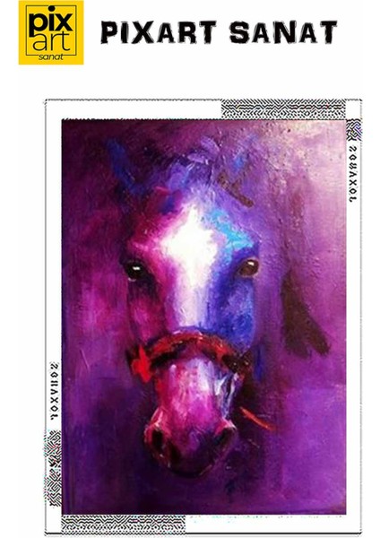 Duvardaki At Silüet PixArt Sanat Elmas Mozaik Tablo Diamond Türkiye 43*60 fırsatları