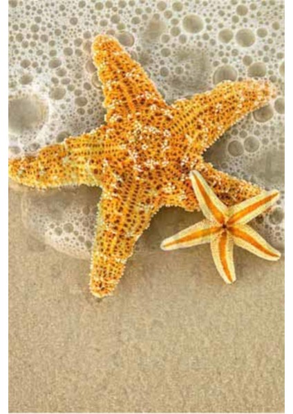 Deniz Yildizlari 40 x 60 Elmas Mozaik Tablo