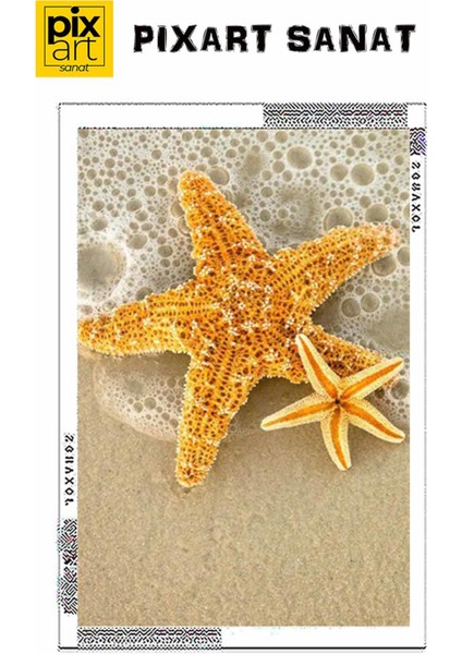 Deniz Yildizlari 40 x 60 Elmas Mozaik Tablo fırsatları