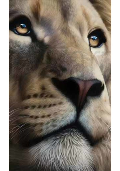 Aslan 40 x 60 Elmas Mozaik Tablo