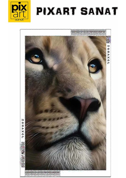 Aslan 40 x 60 Elmas Mozaik Tablo fırsatları