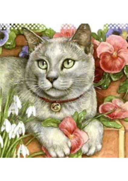 British Gri Kedi Pixart Sanat Elmas Mozik Tablo Daimond Türkiye 58*60