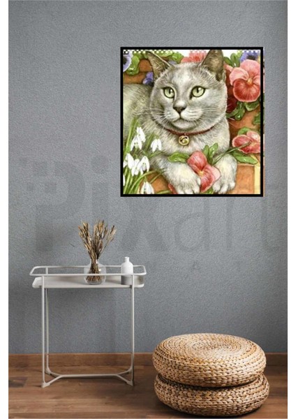 British Gri Kedi Pixart Sanat Elmas Mozik Tablo Daimond Türkiye 58*60 modelleri