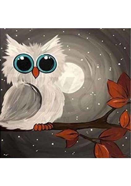 Güzel Gözlü Tatlı Baykuş Pixart Sanat Elmas Mozaik Tablo Diamond Türkiye 38*38