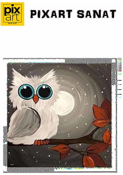 Güzel Gözlü Tatlı Baykuş Pixart Sanat Elmas Mozaik Tablo Diamond Türkiye 38*38 fırsatları