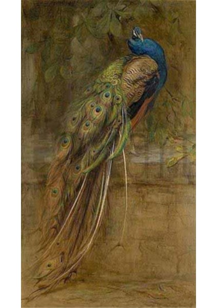 Kahverengi Tavus Kuşu Pixart Sanat Elmas Mozik Tablo Daimond Türkiye 42*67
