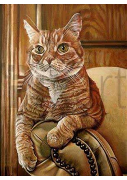 Turuncu Kedi Pixart Sanat Elmas Mozik Tablo Daimond Türkiye 38*50