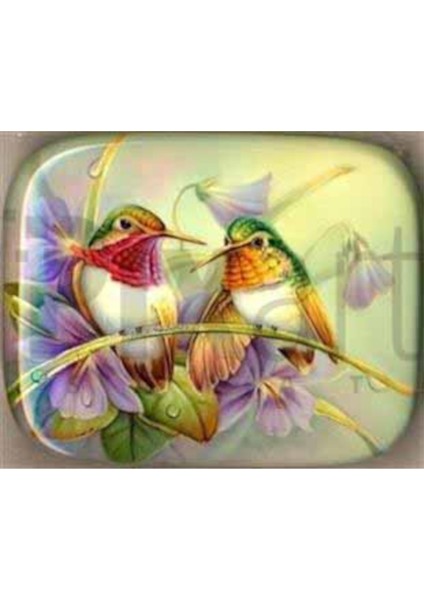 Minik Kuşlar Pixart Sanat Elmas Mozik Tablo Daimond Türkiye 67*52