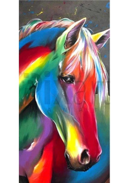 Gökkuşağı Atı Pixart Sanat Elmas Mozik Tablo Daimond Türkiye 32*62