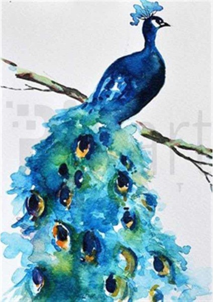 Mavinin En Güzel Tonlarından Tavuskuşu Pixart Sanat Elmas Mozik Tablo Daimond Türkiye 42*59