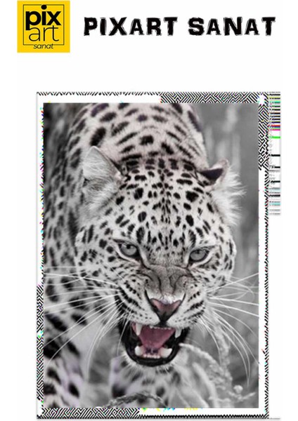 Vahşi Leoparpixart Sanat Elmas Mozik Tablo Daimond Türkiye 38*53 fırsatları