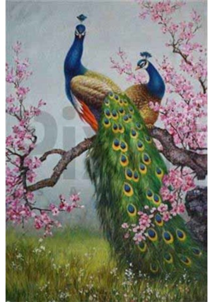 Yeşil Kuruklu Tavuskuşu Pixart Sanat Elmas Mozik Tablo Daimond Türkiye 58*86