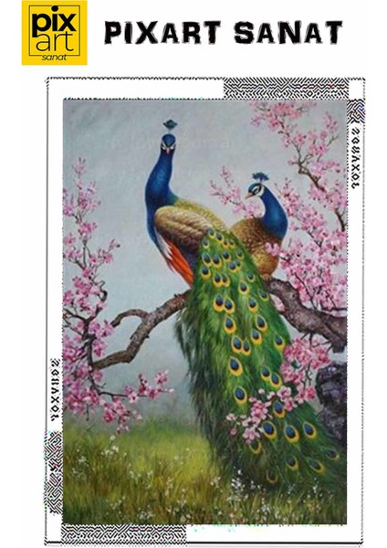 Yeşil Kuruklu Tavuskuşu Pixart Sanat Elmas Mozik Tablo Daimond Türkiye 58*86 fırsatları