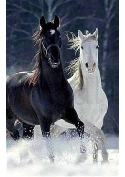 Karlarda Koşan Iki At Pixart Sanat Elmas Mozik Tablo Daimond Türkiye 43*66