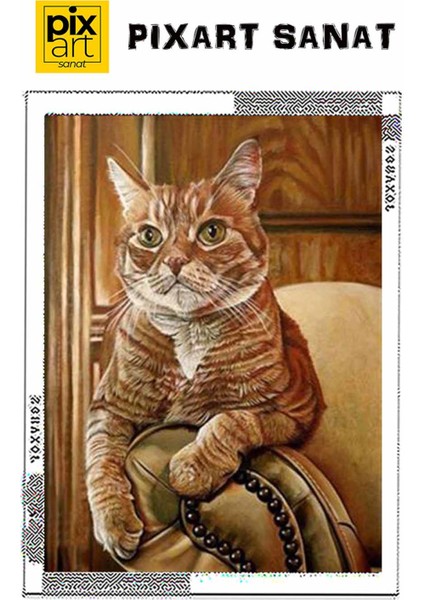 Turuncu Kedi Pixart Sanat Elmas Mozik Tablo Daimond Türkiye 38*50 fırsatları