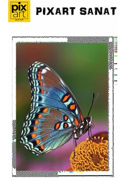 Doğadaki Güzellik PixArt Sanat Elmas Mozik Tablo Daimond Türkiye 37*52 fırsatları