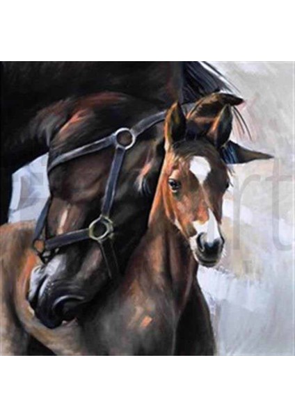 Anne Sevgisi Pixart Sanat Elmas Mozik Tablo Daimond Türkiye 52*52