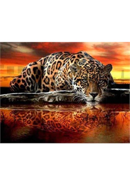 Gün Batımı Işıklarında Leopar Pixart Sanat Elmas Mozik Tablo Daimond Türkiye 62*52