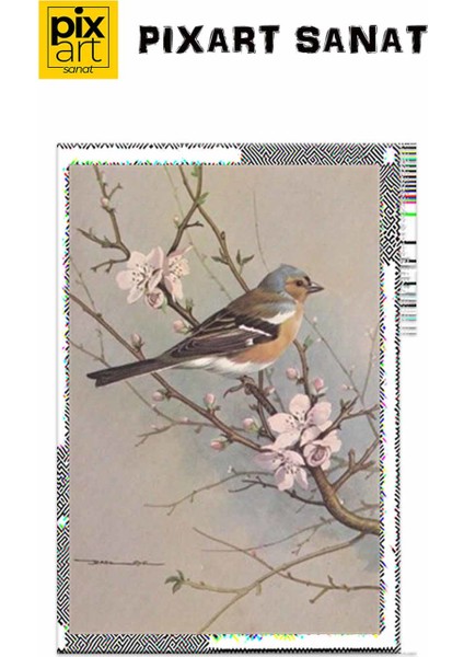 Minik Serçe Pixart Sanat Elmas Mozik Tablo Daimond Türkiye 48*71 fırsatları