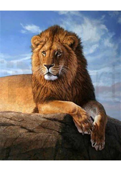 Zirvedeki Aslan Pixart Sanat Elmas Mozik Tablo Daimond Türkiye 43*53