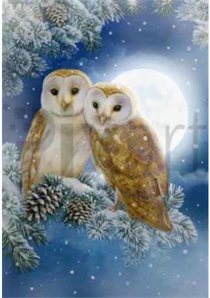 Mutlu Baykuş Ailesi Pixart Sanat Elmas Mozik Tablo Daimond Türkiye 43*60