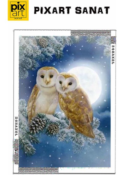 Mutlu Baykuş Ailesi Pixart Sanat Elmas Mozik Tablo Daimond Türkiye 43*60 fırsatları