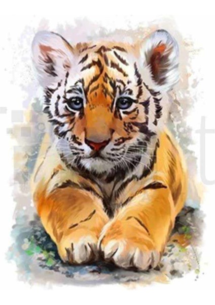 Minik Kaplan Pixart Sanat Elmas Mozik Tablo Daimond Türkiye 42*54