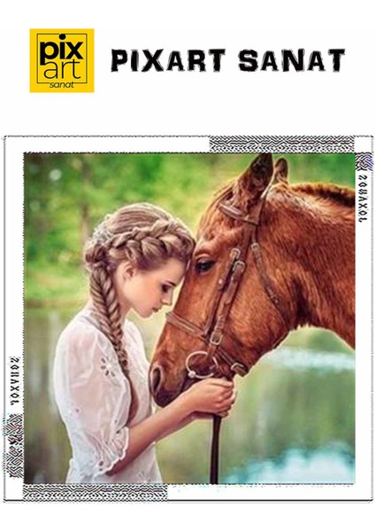 Dostluk Pixart Sanat Elmas Mozik Tablo Daimond Türkiye 53*53