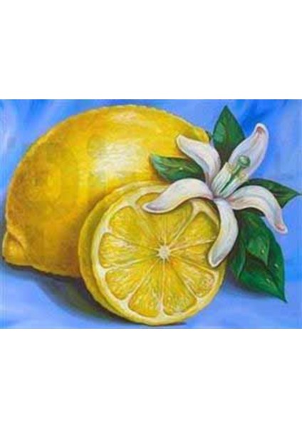 Limon ve Çiçeği Pixart Sanat Elmas Mozaik Tablo Diamond Türkiye 53*41